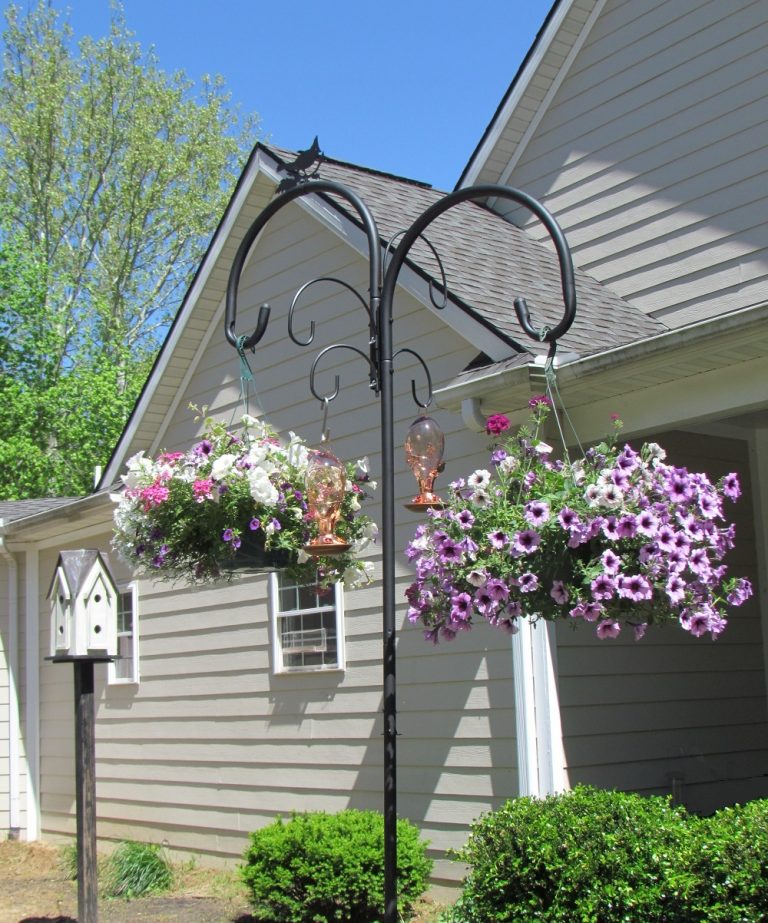 Bird Feeding Pole