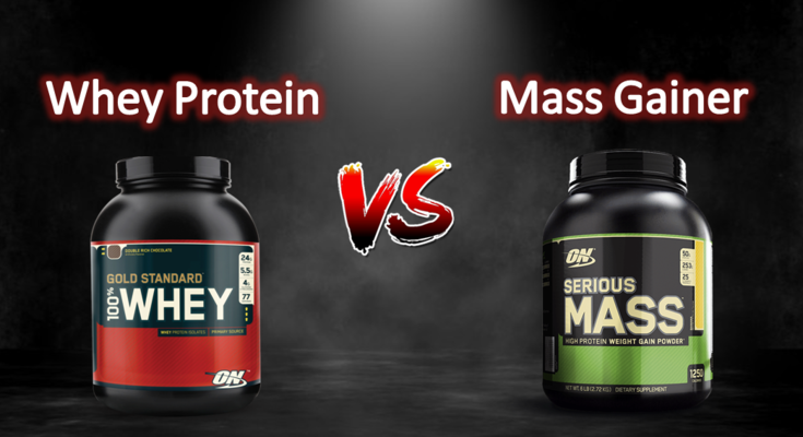 Which is better - mass gainer or protein for mass gain?