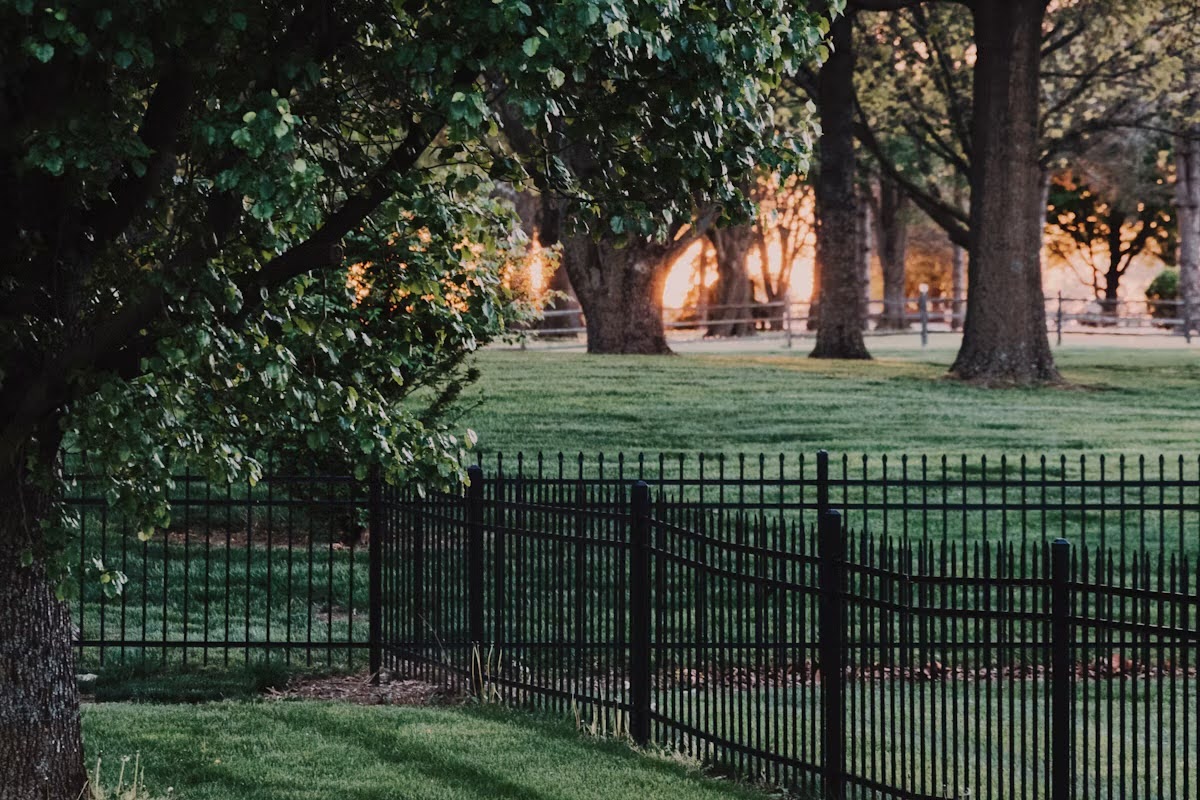 Fence
