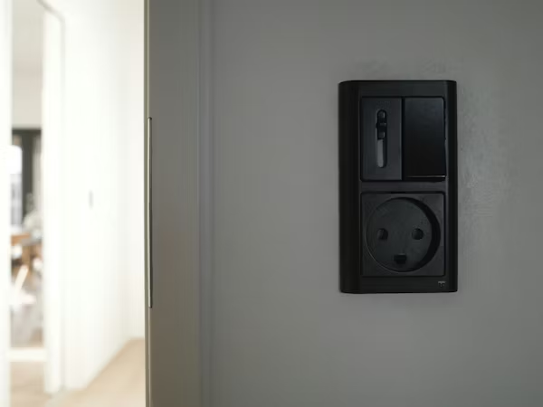 Domestic Energy Assessor